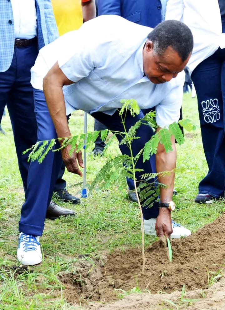 Denis Sassou N'Guesso en action de planting@Congo