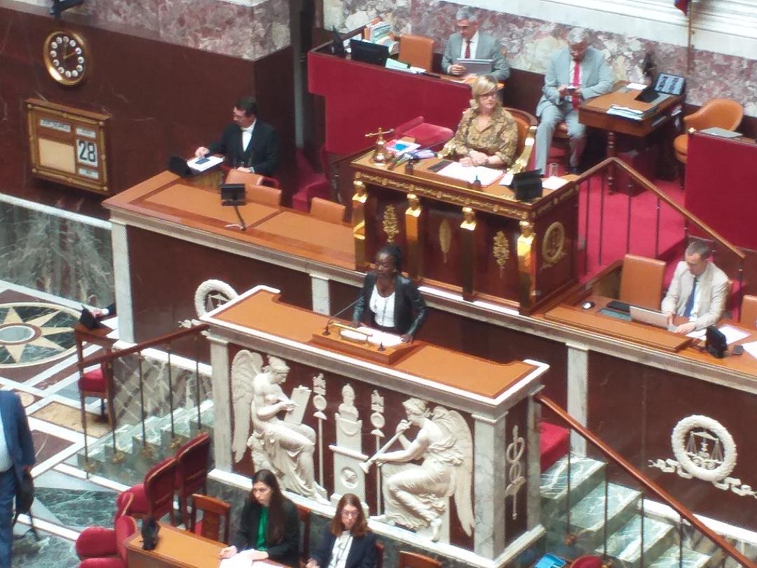 Prise de parole de Nadège Abomangoli, vice-présidente de l'Assemblée nationale française@AAFC